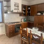 L'olivo