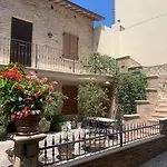 L'olivo *